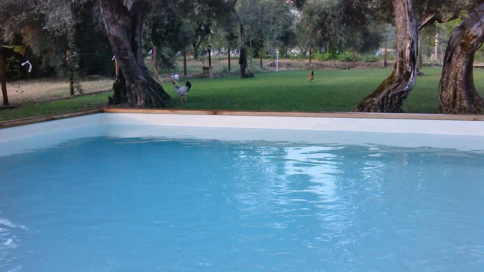 Holiday home La Collina Con Gli Ulivi Villa Perugia Italy