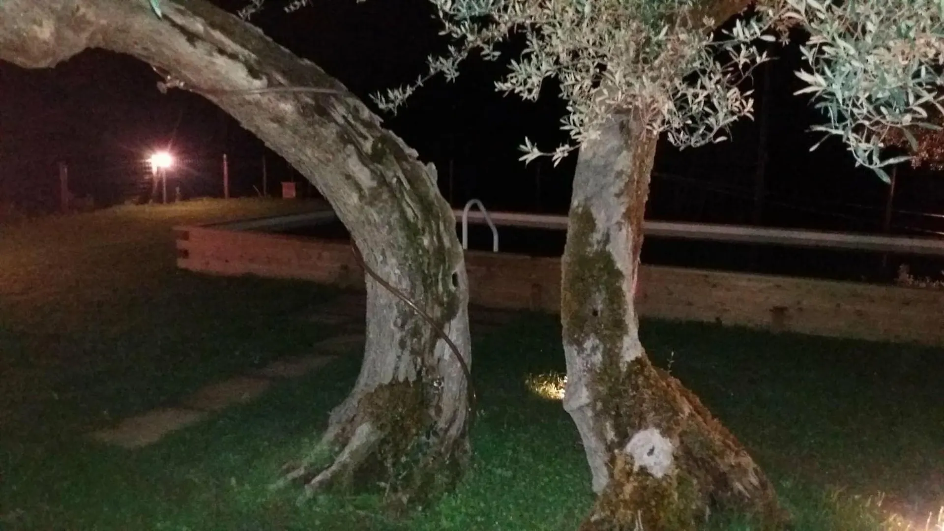 La Collina Con Gli Ulivi Villa Perugia 0*,