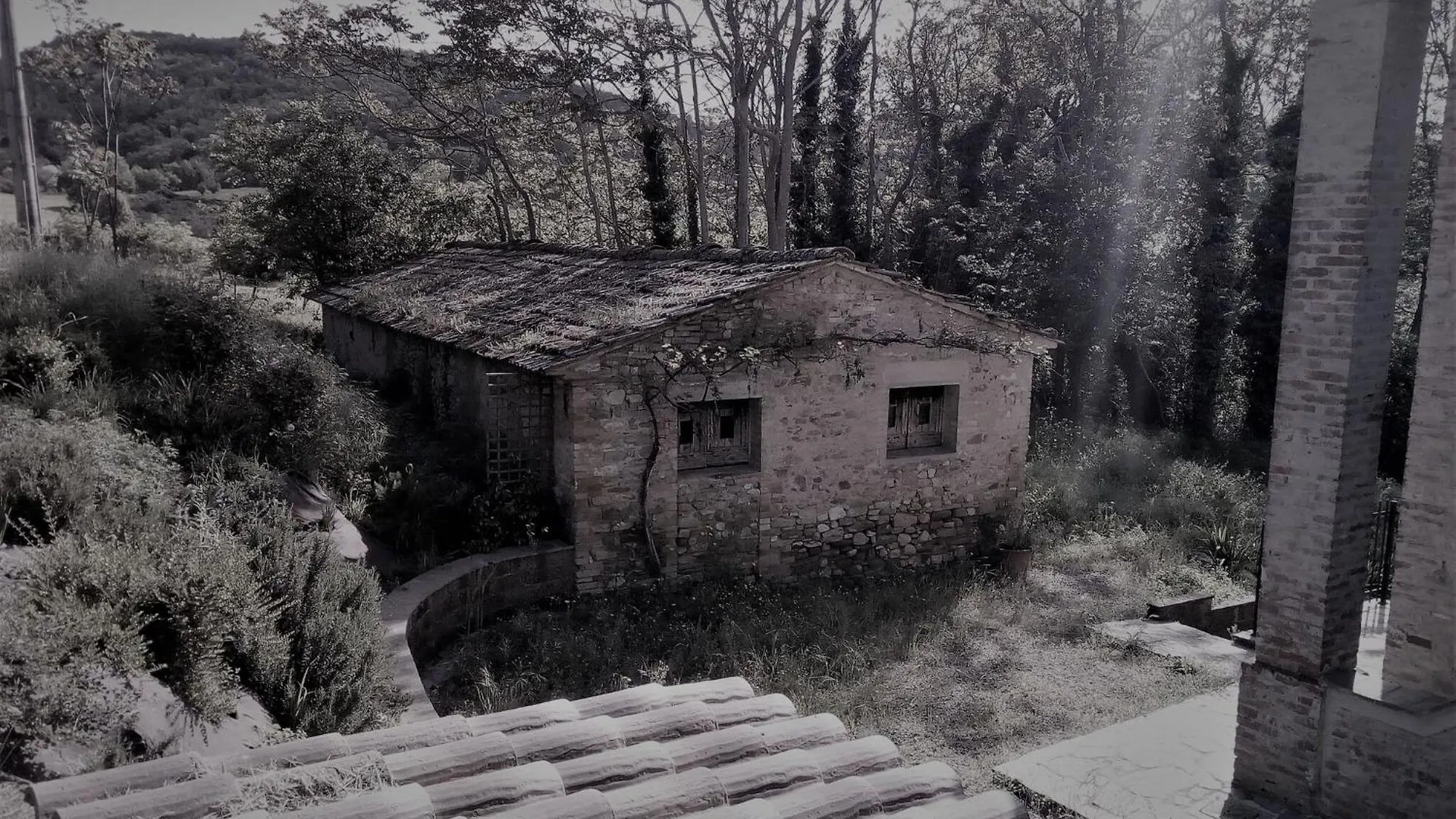 Holiday home La Collina Con Gli Ulivi Villa Perugia
